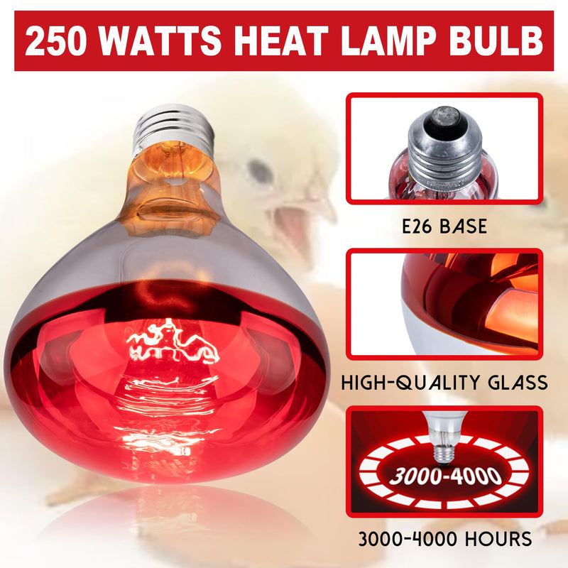 4 Pack 250 Watt Heat Lamp Bulbs for Chicks, R40 Brooder Heat Lamp for Chickens, Infrared Reflector Heat Bulbs for Brooder Heater, Incandescent Spotlight for Pet, Bathroom, Food 4 Pack