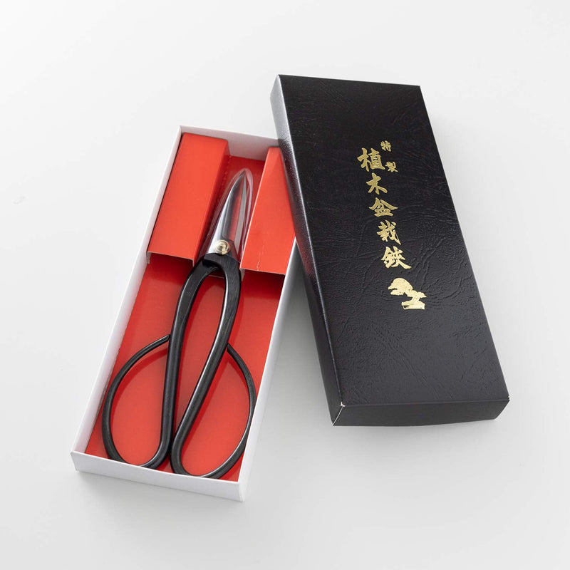 Wazakura Ashinaga Bonsai Pruning Scissors 8inch (200mm) MADE IN JAPAN, Long Handle Bonsai Cutter in Carbon Steel, Rose Pruning Shears, Flower Scissors, Japanese Gardening Tools Ashinaga Long Handle Black