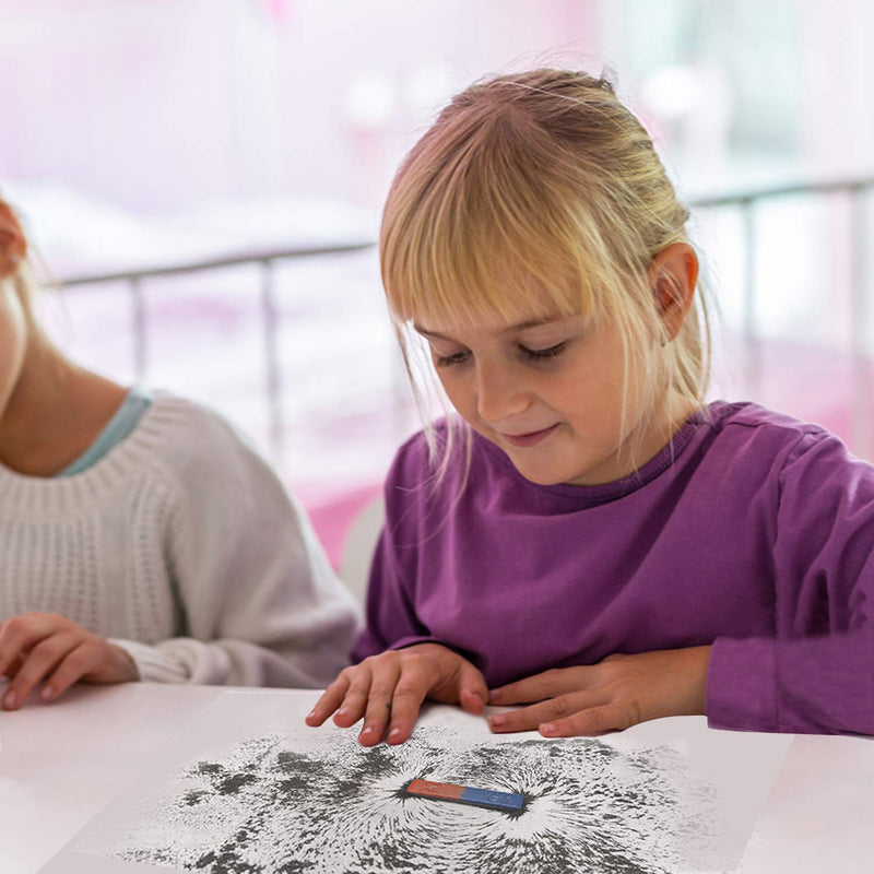 [Australia - AusPower] - DAILYLIFE Iron Powder Iron Filings for Science Experiments, 1 Pound (16 Ounces) Magnetic Sand with 4 Magnets for Magnetic Field School Project, Metal Shavings Iron Oxide Powder Children Toys 