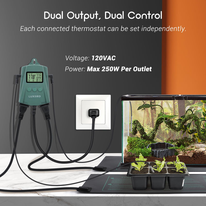 [Australia - AusPower] - LUXBIRD Reptile Thermostat Controller (250w Per Outlet), Digital Thermostat for Turtles, Lizards, Frogs, and Other Reptiles (Power Off Memory New) LB-2SC New Ver. 
