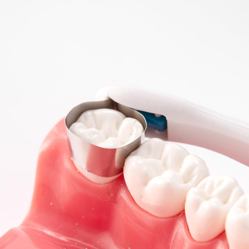 [Australia - AusPower] - 50pcs Dental Matrix Bands,Dental Sectional Matrix Refill Wedge for Teeth Restoration,Adjustable, 6mm Standard for Molars Blue 