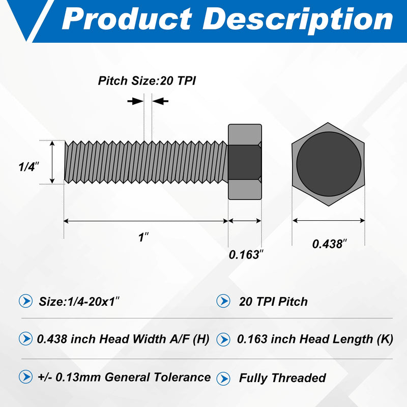 [Australia - AusPower] - Therwen 20 Set 80 Pcs Stainless Steel Hex Head Screws Bolts, Nuts, Flat Lock Washers, Thick Stainless Steel Bolts and Nuts, Fully Threaded by Bolt(1/4-20x1) 1/4-20x1" 