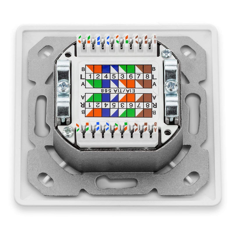 deleyCON CAT 6a Universal Network socket - 2x RJ45 Port - screened - Mounted/Flush - 10 Gigabit Ethernet Network - EIA/TIA 568A&B - White/Plain white | Universal, shielded, surface-mounted or flush-mounted, 10 Gigabit Ethernet network, EIA/TIA 568A&B