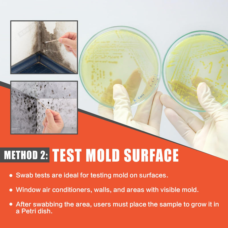 Mold Testing Kit for Home Air Quality - Test 10 Room, DIY Home Mold Detector Kit, Home Air & Surface, HVAC Indoor Quick Mold Testing Kit for Home, Identification & Remove Guide Included