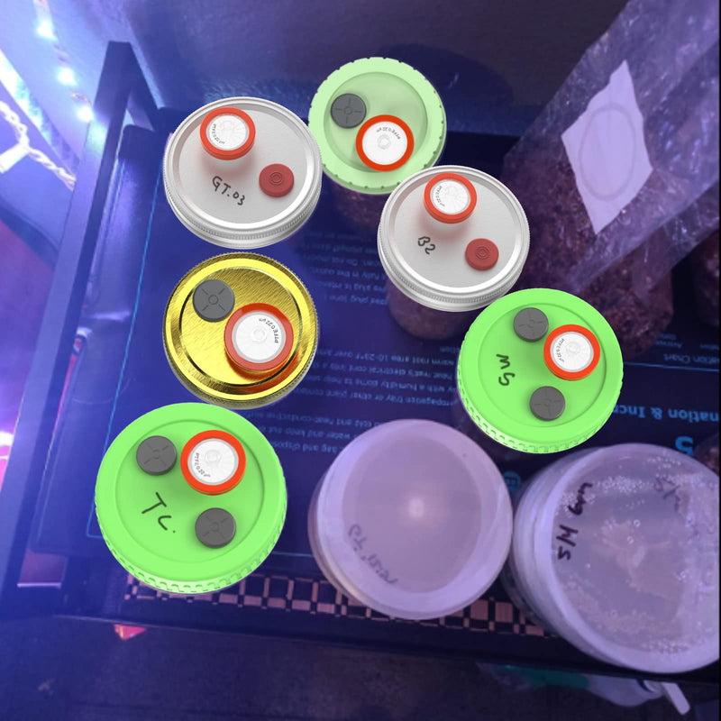 [Australia - AusPower] - 6Pcs Liquid Culture Lid Grain Spawn Cultivation Mason Jar Lid with 0.22um PTFE Syringe Filter & 20mm Self Healing Injection Ports For Mushroom Growing Mycology (Rejular Mouth (Golden)) Rejular Mouth (Golden) 