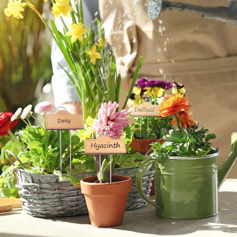 Stainless Steel 304 Plant Labels Weatherproof, Metal Garden Label Tall Markers 25 Pack for Plants Vegetables Herb Seedlings Flowers with 2 Pens, Height 10.75 Inch, Label Area 3.74'' x 1.39'' Gold