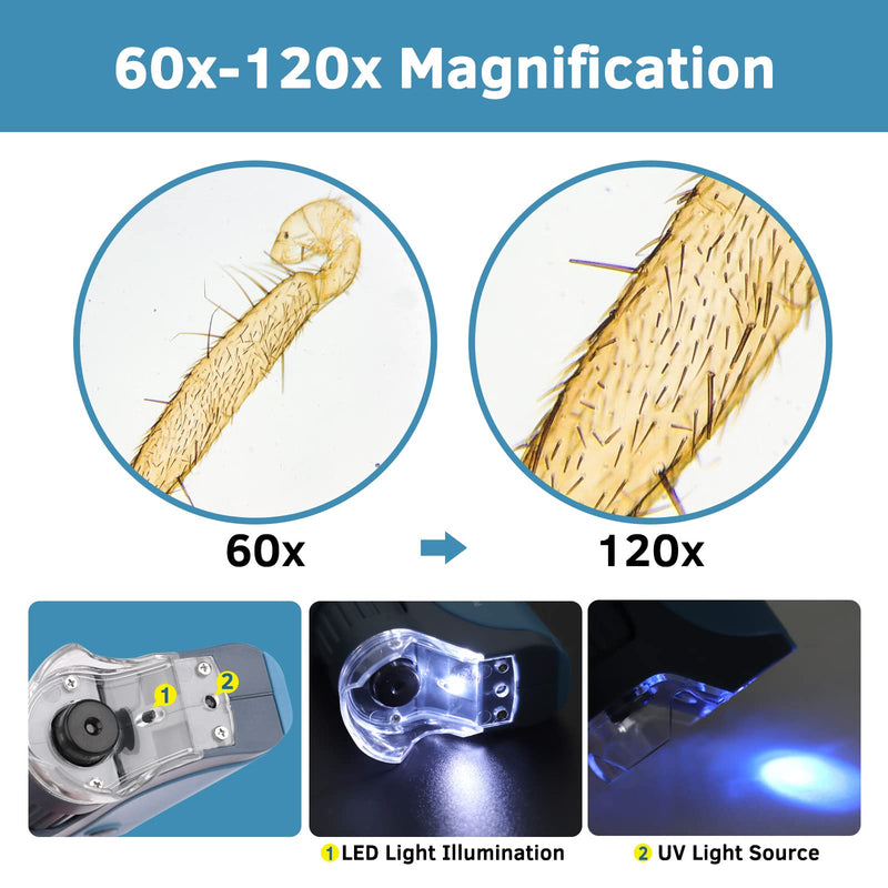 [Australia - AusPower] - Pocket Microscope, 60x-120x Handheld Mini Microscope Kids with LED Lights, 5 Slides Specimens, BEBANG Portable Microscope for Kids Student Adults Microbiological Observation Lab Study, Educational Kit Blue-120X 
