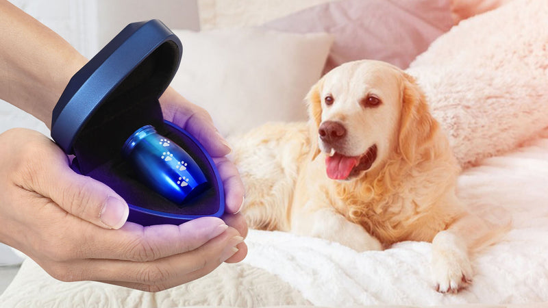 Small Pet Urns for Dog Ashes, Mini Cat Urn for Ashes Keepsake, Tiny Cremation Animal Human Memorial Necklace Loss of Dogs Cat Gifts, Pet Paw Print Urn - Heart Shaped Box with Blue Light