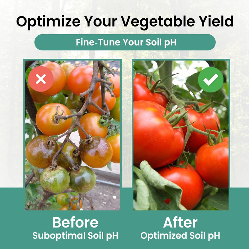 Soil pH Test Kit (3-9 Range) – 100 Test Strips for Garden, Lawn, Vegetable & Flower Beds | Quick & Easy Soil pH Monitoring for Indoor & Outdoor Plants | Leaping Lynx