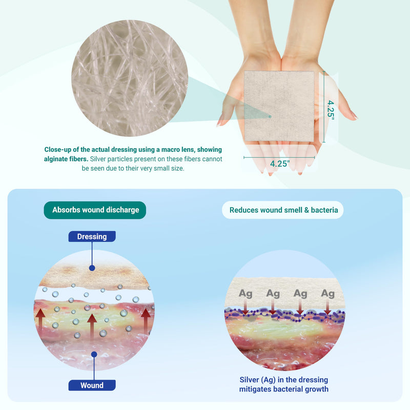 [Australia - AusPower] - Areza Medical - Silver Alginate (Antibacterial Alginate with Silver) - Sterile - Wound Dressing Pads - 4.25" X 4.25" (10.8 cm X 10.8 cm) - 10 PCS per box 