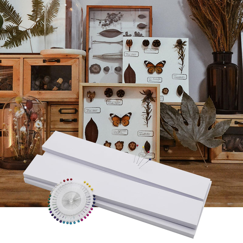 [Australia - AusPower] - Insect Pinning Board, EVA Insect Specimen Plates, Butterfly Mounting Spreading Board, Insect Display Case Box for Science Education 