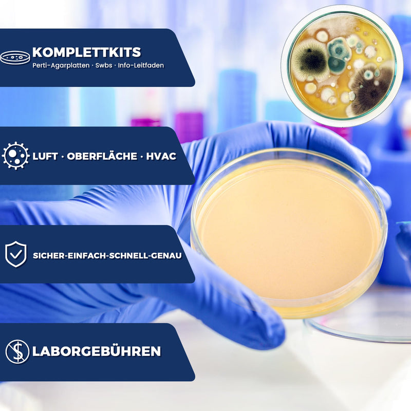 [Australia - AusPower] - Mould Test Kit for Home - Mould Test for 5 Rooms - Mould Quick Test Room Air Kit for Indoor Air Quality - Includes Identification Guide & Instructions 