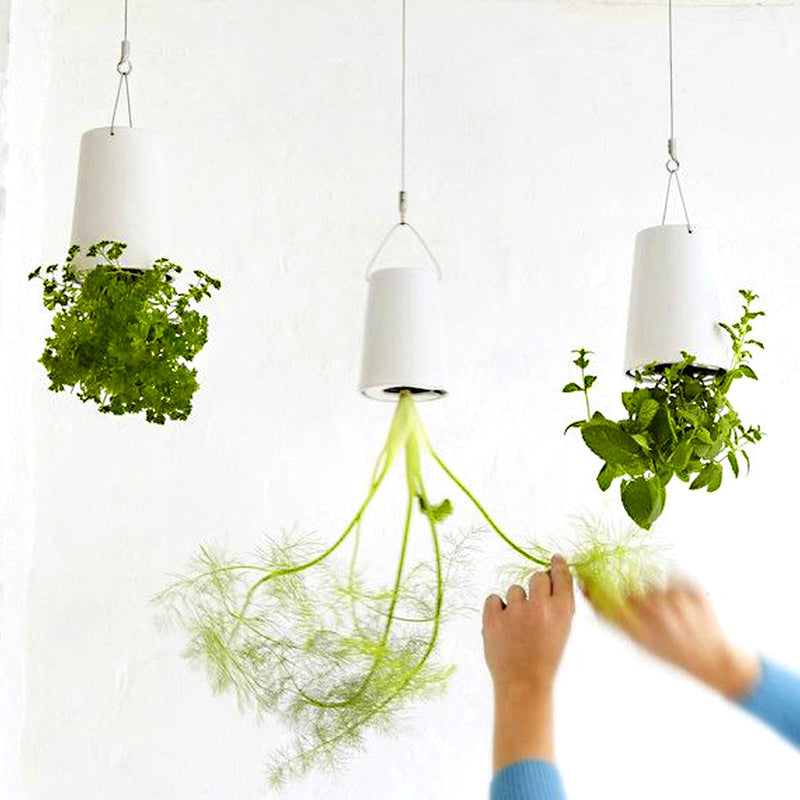 [Australia - AusPower] - Aovchei Eye Screws Set, 455PCS 0.59" 0.67" 0.75" 0.87" 1" Heavy Duty Eye Hooks, Self Tapping Screw Bolts, Indoor & Outdoor for Hanging Artwork, Black 455pcs-5 Size 