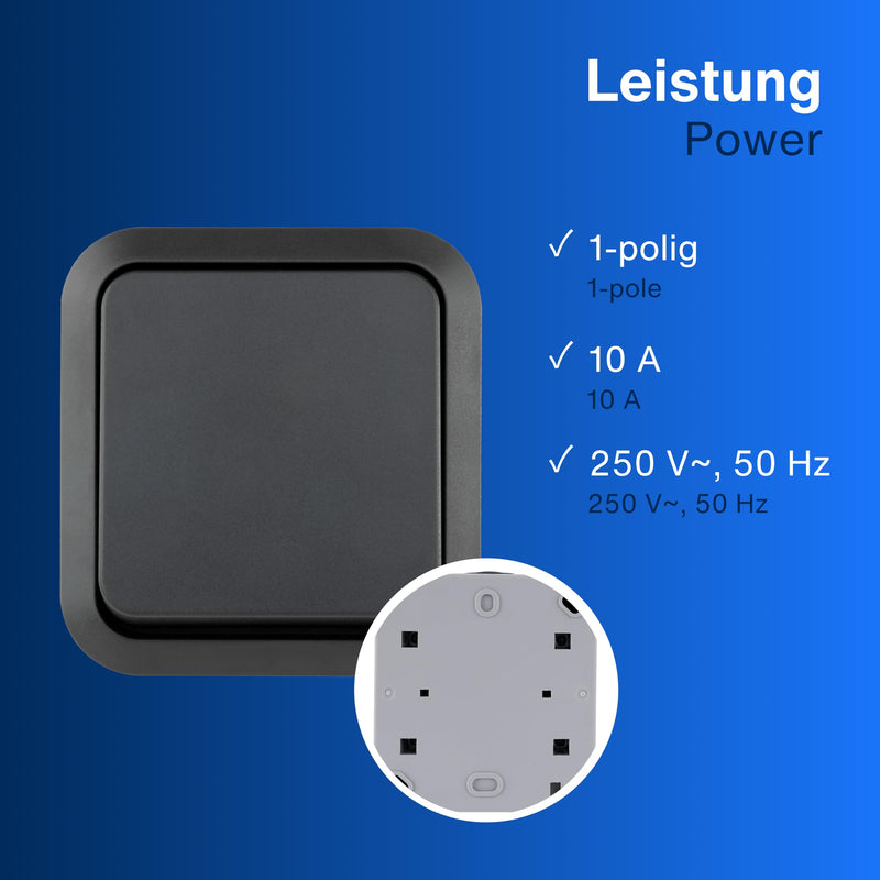 REV 0004310400 AquaStorm Push-Button Light Switch, Wet Room, IP55 Single Pole, Flush-Mounted, Anthracite | Suitable for damp rooms, durable and robust, ideal for outdoor and cellar areas, single pole, 230 V, 10 A 1 x button