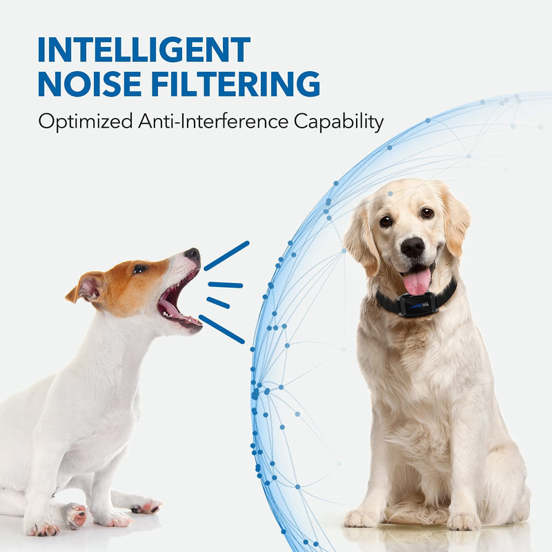 [Australia - AusPower] - DOG CARE Rechargeable Bark Collar - Dog Bark Collar with Intelligent Bark Control, Vibration, Effective Sound, Shock Modes Training Collar with 5 Adjustable Levels, Dog Shock Collar with LED Indicator 