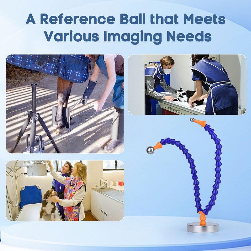 [Australia - AusPower] - Reference Ball with Weighted Base for Precise Measurement, Essential Tool for Cats and Dogs, Diameter 10mm 20mm HXRRB-01 