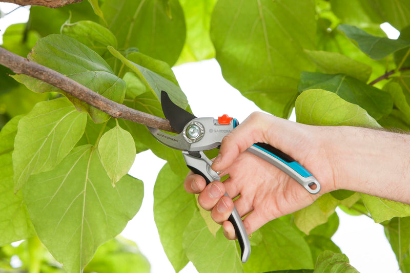 GARDENA (8906) Adjustable Bypass Garden Pruning Shears for Trees, Roses, and Flowers up to 1". Heavy Duty Professional Scissors with Steel Cutting Blades, Sharp Trimming Pruners. Made in Germany Large - 1" Diameter