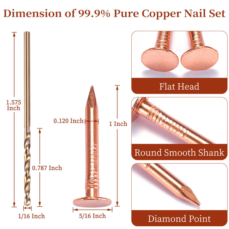 GOORY 500Pcs Copper Nails 1 Inch - with 1/16 Inch Drill Bit - 99.95% Pure Copper Roofing Nails Slate Spikes Flashing Furniture Boat for Roof Repair, Tree Stump Remover, DIY Project 500 Pcs 1" Copper Nail