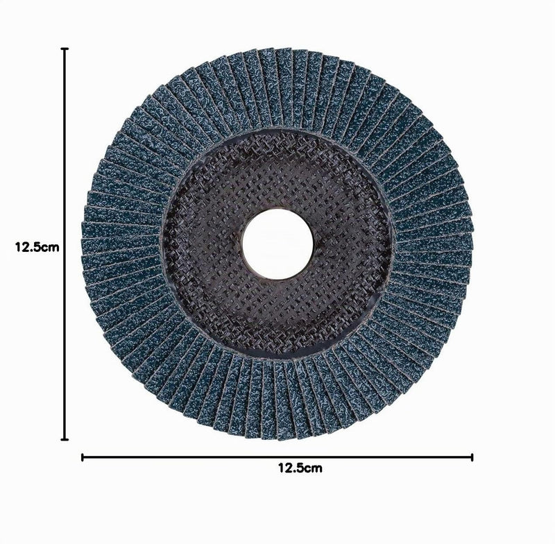 Pferde Tools Polifan Z-Box - 10 x Serrated Washers 125 mm, Z60, 22.23 mm Bore, 69300935 - for High Cutting Performance and Solid Service Life on Steel and Stainless Steel (INOX), Blue Zirconia corundum 60