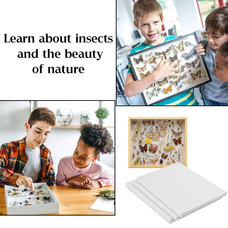 [Australia - AusPower] - 3Pcs Insect Pinning Board Specimen Display Panel EVA Foam Boards, Specimen Spreading Board Butterfly Spreading Wings for Science Education Project/Bugs Collection 