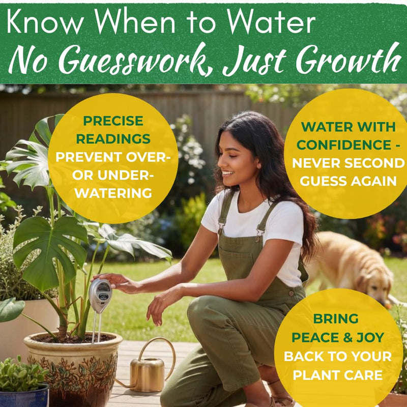 [Australia - AusPower] - Houseplant Health Meter – 3-in-1 Tool to Prevent Overwatering, Root Rot & Leaf Burn | Test Soil Moisture, Sunlight & pH | Simple, Easy, Battery-Free | Suitable for Indoor, Outdoor & Potted Plants 