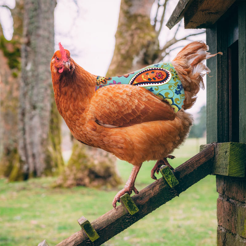 [Australia - AusPower] - Yuehuam Chicken Saddle for Hen, Chicken Aprons Clothes with Elastic Strap, Poultry Wing Feather Protector Suitable for Small Medium Large Hens Birds Poultry Care Supplies Leopard + Owl + Sunflower + Paisley + Flower 
