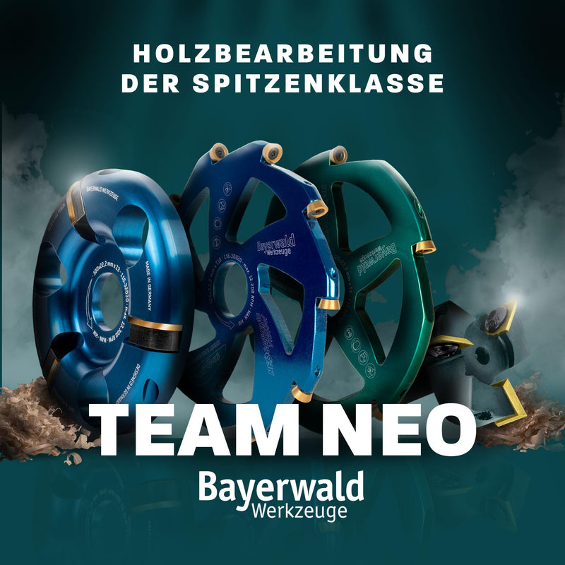 Bayerwald Woodcarver Diameter 115 mm - Milling Disc for Angle Grinder for Woodworking / Ideal Tool for Sculptors and Carvers (Woodcarver)