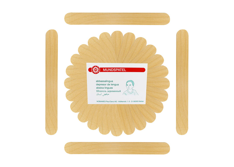 100 Wooden Spatulas from Noba Dressing Agent Various Sizes (Large (150 x 18 mm)