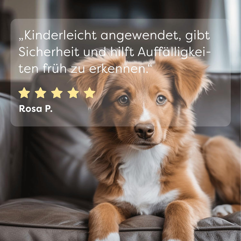 Dr. SAM UrinCheck Quick Test for Dogs & Cats, Set of 5 - Early Detection of Diabetes, Kidney & Urinary Tract Diseases, 99% Accuracy, Easy to Use at Home and Quick Diagnostics