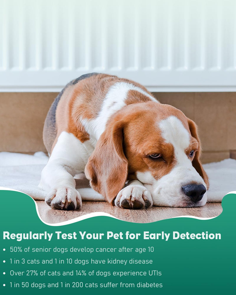 [Australia - AusPower] - Pawfly Urine Test Strips, 100 Strips, Pet Urine Testing Strips for Ketone, Glucose, Specific Gravity & pH, Urinalysis Test Strips for Vets 4 in 1 