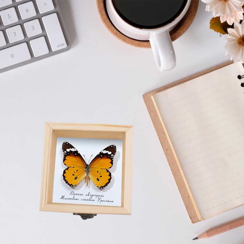 [Australia - AusPower] - 20 PCS Insect Specimen Tools Kit 4 Wooden Display Case Box with Clear Top 10 Sheets Thin Tracing Paper 2 EVA Foam Pinning Board 200 Pins 2 Tweezers 1 Scissors Tools for Bugs Collection 