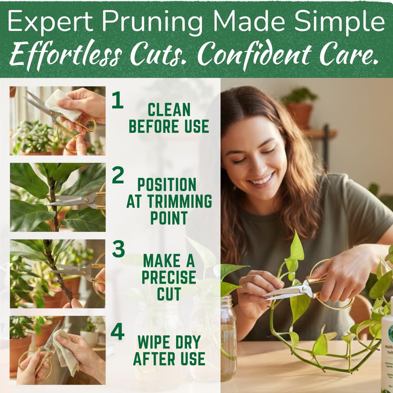Premium Houseplant Scissors | 100% Stainless Steel, Ultra-Precise Garden Clippers for Propagation & Trimming | Rust-Resistant, Easy Clean Pruning Shears | Indoor & Outdoor | Comfortable & Ambidextrous