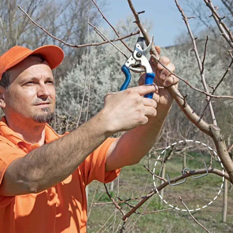Branch Puller Holder for Fruit Branches, Fruit Tree Support Tools Set - 24 Pieces M-Shape Fruit Trees Support for Different Thicknesses of Branches, Fruit Trees Aesthetic Cultivation Tool