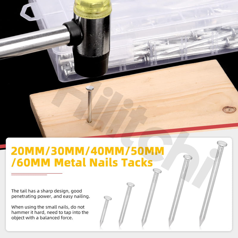 [Australia - AusPower] - Hilitchi 301PCS 5 Sizes Brick Steel Nails Assortment Kit 0.78" 1.2" 1.58" 2" 2.36" Galvanized Concrete Wall Nail Cement Nails for Concrete Brick Drywall(White) White Zinc 
