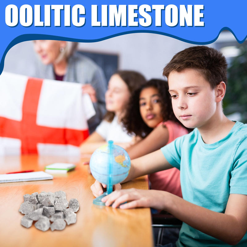 [Australia - AusPower] - 24 Pcs Oolitic Limestone 1" Sedimentary Rock Specimens Real Limestone Rock for Science Classrooms Teaching Aid, Ages 8 up 