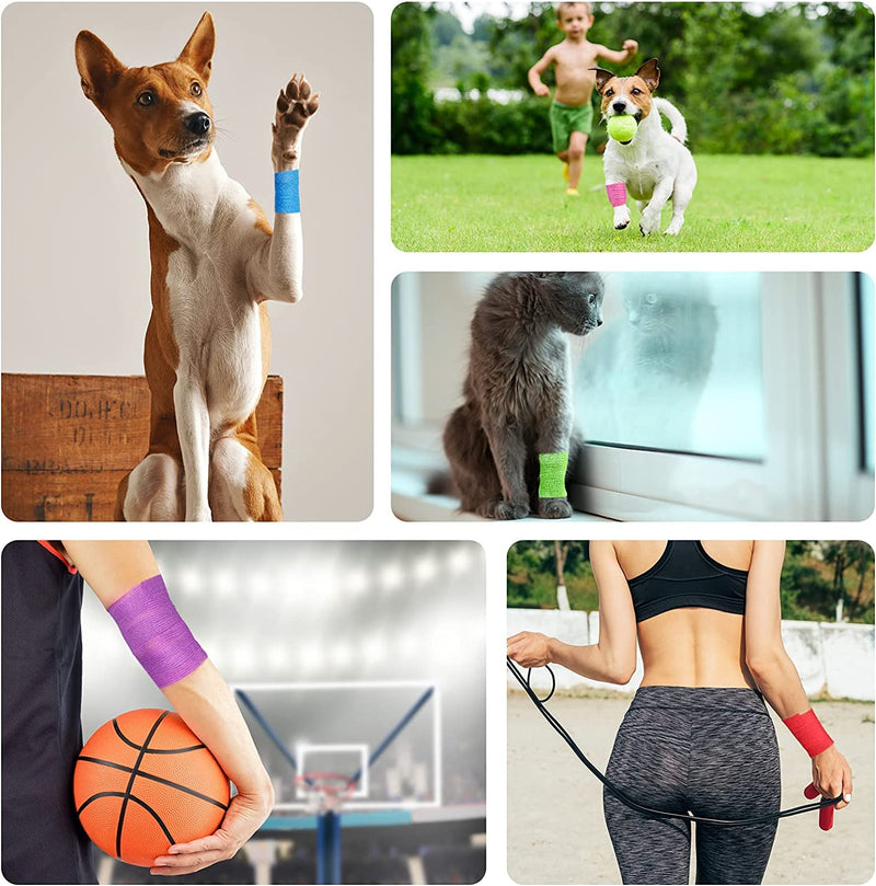 [Australia - AusPower] - 12Pack 1 x 5 Yards Self Adhesive Bandage Wrap, Elastic Self Breathable Self Adherent Wrap for Pets, Athletic Cohesive Bandage for First Aid, Sports Injury & Protection, 12Color 1 x 5 Yards (12-Pack) 