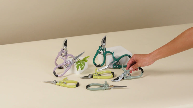 Modern Sprout sage hand pruners and shears set, gardening scissors in blister packaging