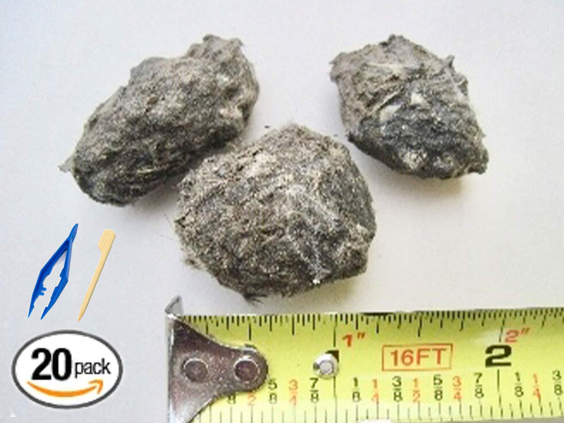Premium Barn Owl Pellets, Small: 1.25"-1.5" (Pack of 20) - Free Bone Identification Chart, Forceps, Paddle Picks, and Teaching Guide Included!
