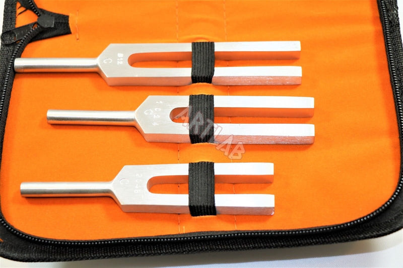 [Australia - AusPower] - Tuning Fork Set of 5 Taylor Hammer Diagnostic instruments CYNAMED 