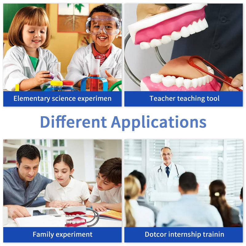 [Australia - AusPower] - Teeth Mouth Model 6X Enlarged with Metal Hinge, Complete Set Teeth and Removable Tongue, PVC Speech Therapy Tool, includes Toothbrush, Ideal for Brushing Teaching Dental Model and Language Education 