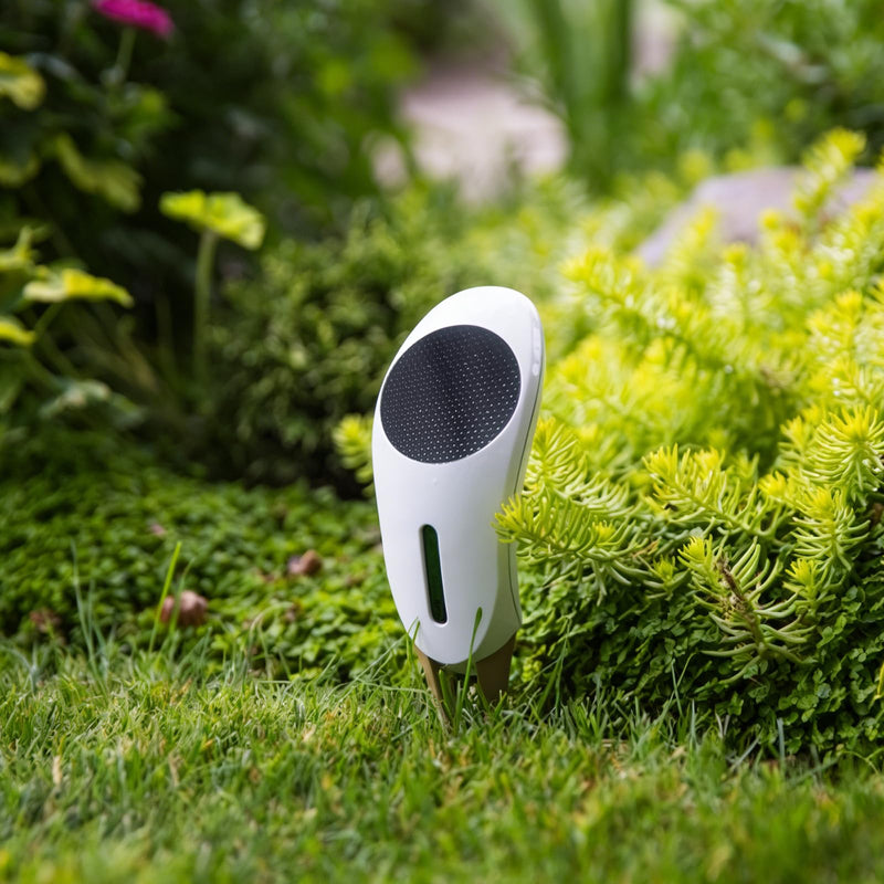 [Australia - AusPower] - Netro Whisperer 2nd Gen Smart Plant Sensor, APP-Baed, WiFi Connected, Solar Powered for Outdoor Use 