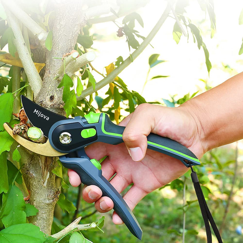 Professional Garden Shears & Clippers – Sharp Pruning Shears for Flowers, Twigs, Roses, Grape Vines, Trees & Bonsai | Heavy-Duty Hand Scissors, Secateurs & Trimmers | Perfect Gardening Gift (green) Green