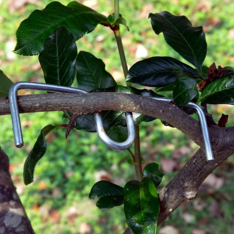 Pack of 24 Branch Supports for Fruit Trees, 13/10/8 cm Branch Spreader M for Fruit Trees, Metal, for Fruit Trees, Bonsai, Slanted Trees, Trees, Tomato Hooks, Robust Tomato Hooks, Branch