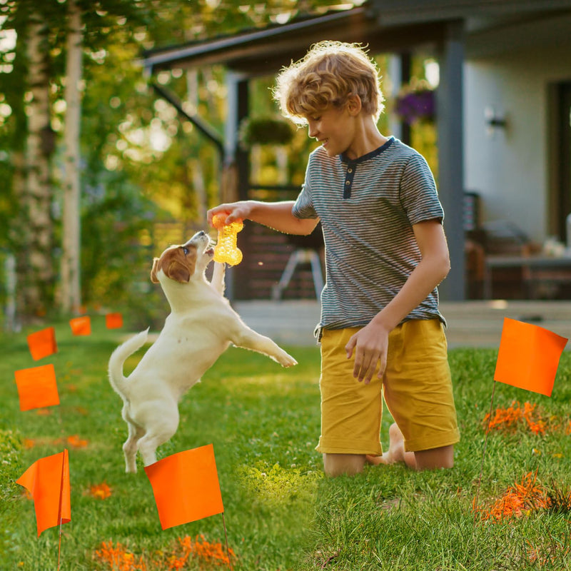 [Australia - AusPower] - Zozen 50Pack Marking Flags, Orange Yard Flags | 15x4x5 Inch, Marker Flags, Lawn Flags Markers, Irrigation Flags, Landscape Flags, Sprinkler Flags, Match with Measuring Wheel. 50 Pack 