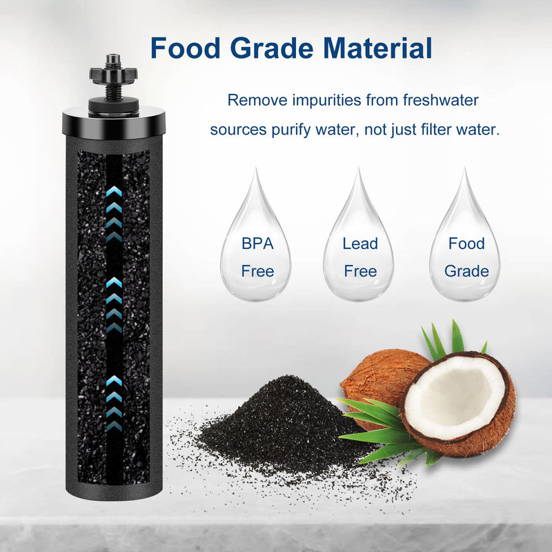 Water Filter Replacement for Berkey, Black Purification Elements, Activated Carbon Filters, Compatible with Berkey Gravity Water Filter System, Pack of 2 2 Black