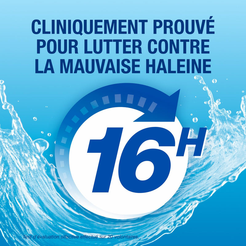 CB12 Mild Mint Menthol Mouthwash (250ml) Single 250 ml (Pack of 1)