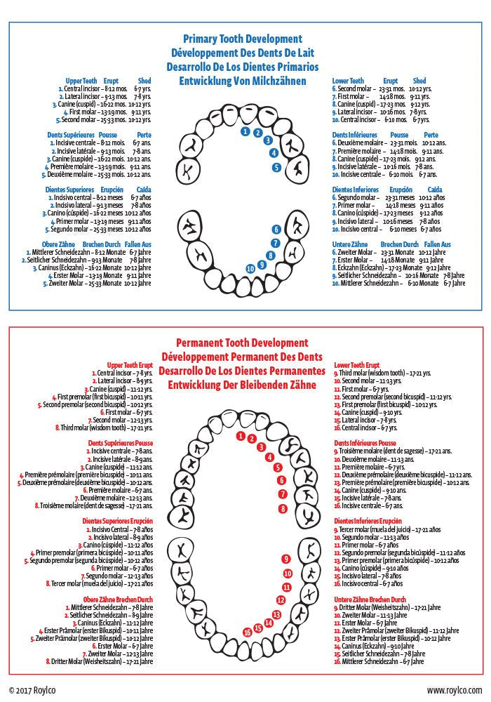 [Australia - AusPower] - Dental X-Rays 