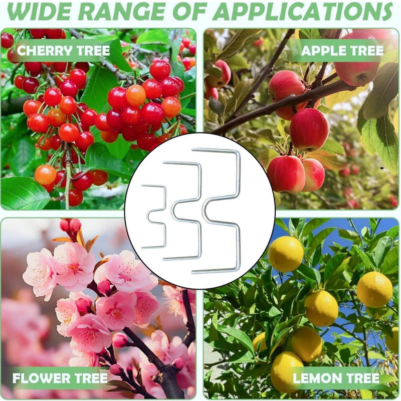 Pack of 24 Branch Supports for Fruit Trees, 13/10/8 cm Branch Spreader M for Fruit Trees, Metal, for Fruit Trees, Bonsai, Slanted Trees, Trees, Tomato Hooks, Robust Tomato Hooks, Branch