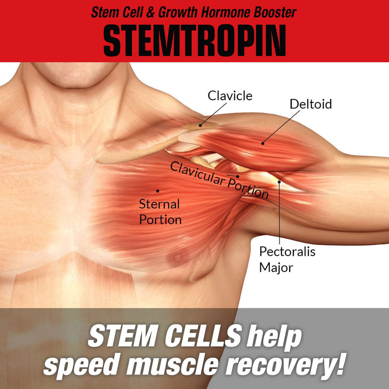 MuscleMeds STEMTROPIN Stem Cell & Growth Factor Booster, Natural Supplement for Performance Enhancement & Anti-Aging, Muscle Building and Recovery, 60 Veggie Capsules