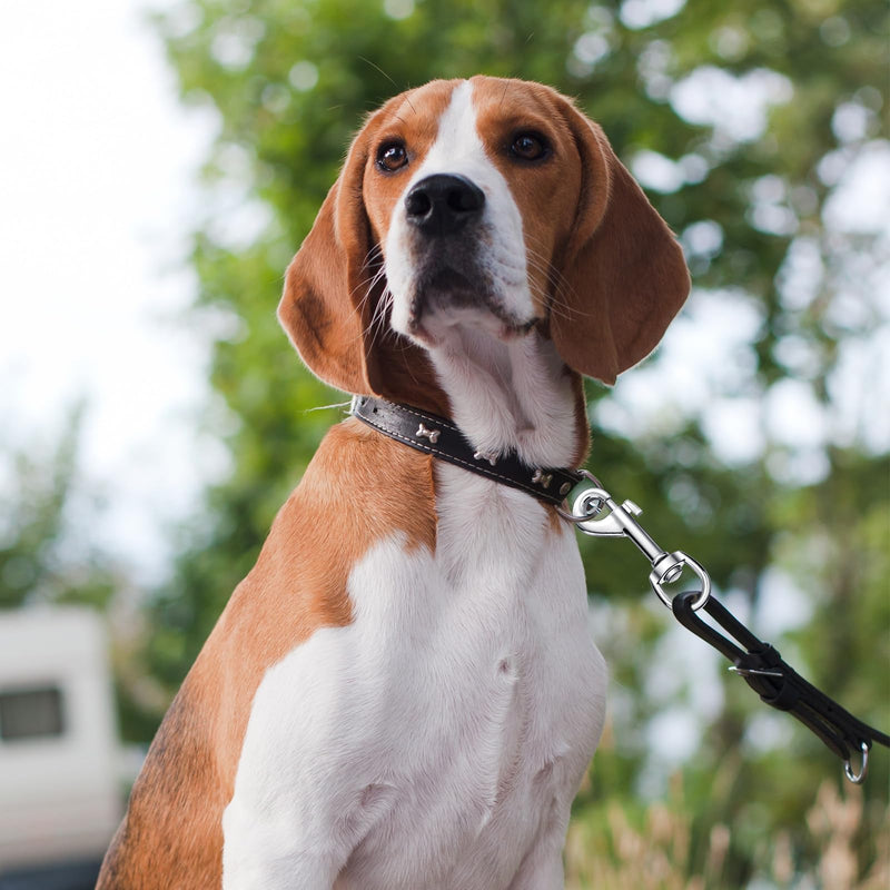 [Australia - AusPower] - Swivel Snap Hooks for Dog Leash Heavy Duty 2.76 Inch Flag Hooks Clasp Single Ended Clip Hooks Multipurpose Bolt Snap for Keychain Camera Strap Linking Pet Leash (20) 20 